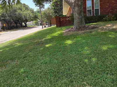 Lawn care service in Dallas, 75214