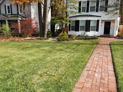 Lawn care service in , 