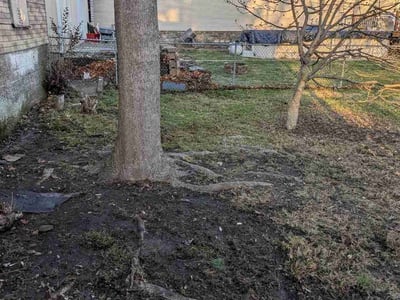 Lawn care service in Scranton, 18510