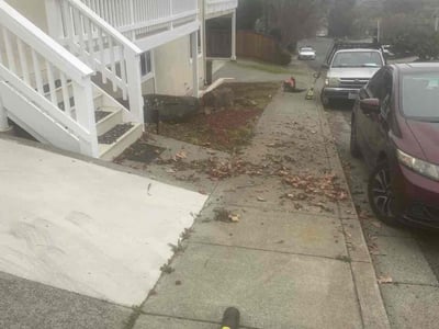 Lawn care service in Benicia, 94510