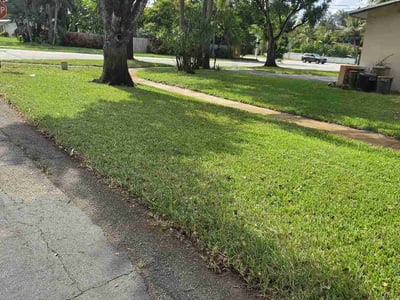 Lawn care service in Plantation, 33317