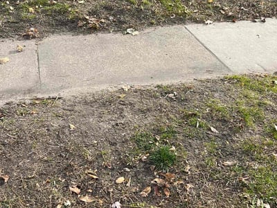 Lawn care service in , 