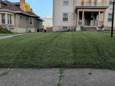 Lawn care service in Cincinnati, 45229