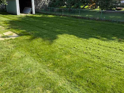 Lawn care service in Ankeny, 50021