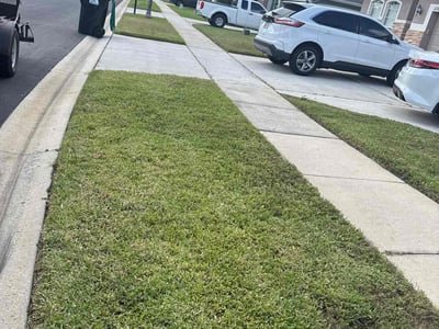 Lawn care service in Orlando, 32825