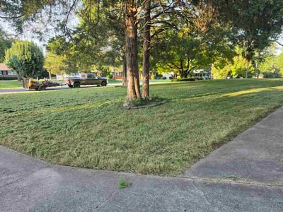 Lawn care service in Charlotte, 28227
