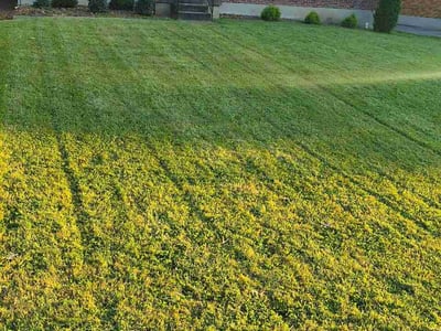 Lawn care service in Louisville, 40228