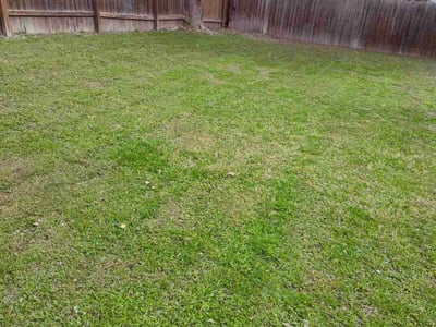 Lawn care service in Austin, 78727