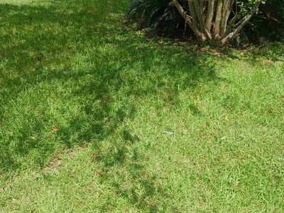 Lawn care service in Bridge City, 70094