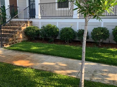 Lawn care service in New Orleans, 70116