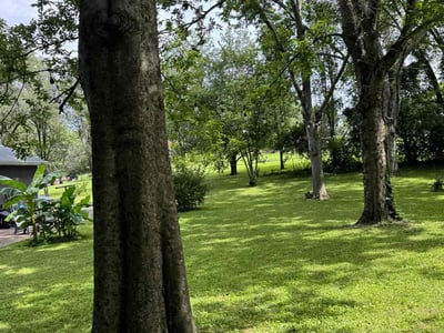 Lawn care service in Nashville, 37207
