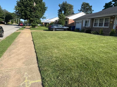 Lawn care service in St. Louis, 63116