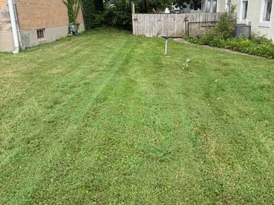 Lawn care service in Harrison, 45030