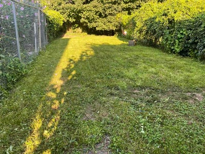 Lawn care service in Burlington, 08016