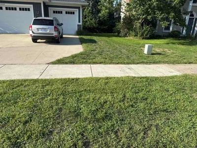 Lawn care service in Rockford, 49341
