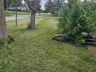 Lawn care service in Hartford, 50118