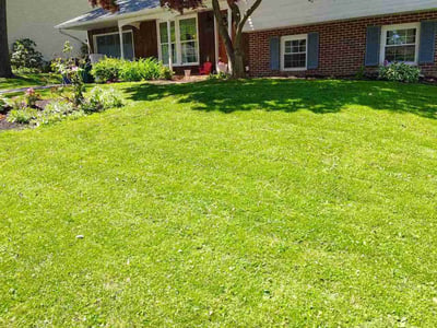 Lawn care service in Harrisburg, 17109