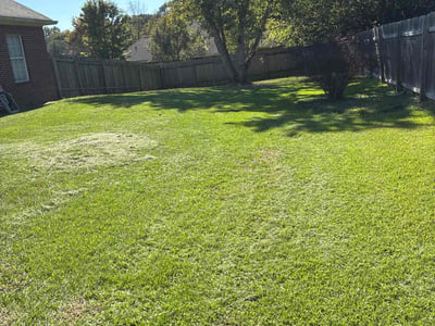 Lawn care service in Madison, 39110