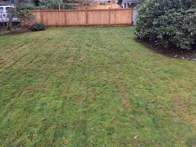 Lawn care service in Woodinville, 98072