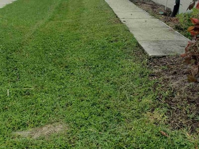 Lawn care service in Sarasota, 34240