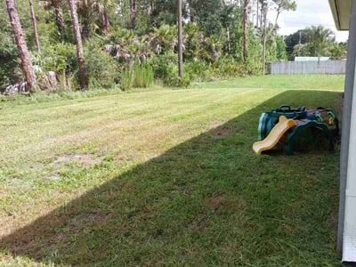 Lawn care service in Palm Bay, 32909
