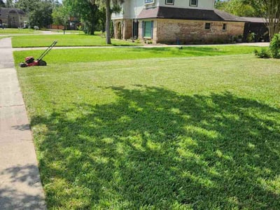 Lawn care service in Lake Jackson, 77566