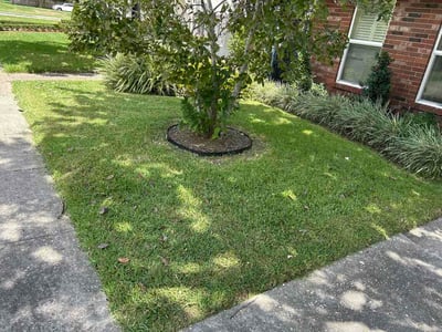 Lawn care service in Metairie, 70002