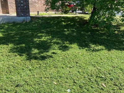 Lawn care service in Austin, 78747