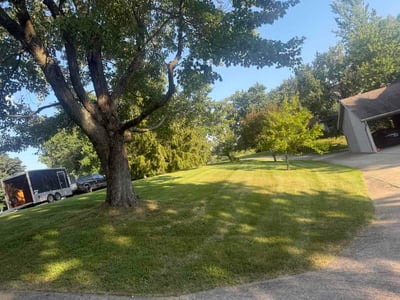 Lawn care service in Florence, 41042