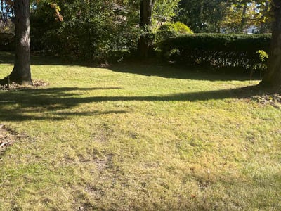 Lawn care service in Highland Park, 60035