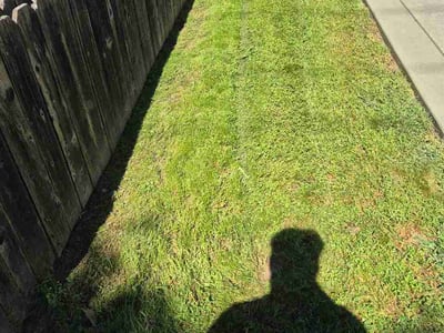 Lawn care service in Citrus Heights, 95621