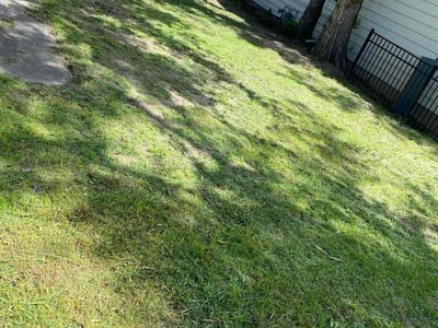 Lawn care service in Denver, 80212