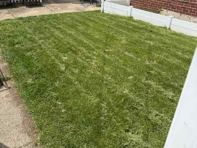 Lawn care service in Baltimore, 21206