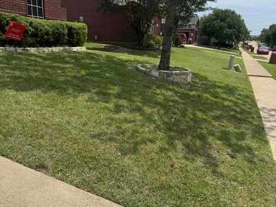 Lawn care service in Rowlett, 75089