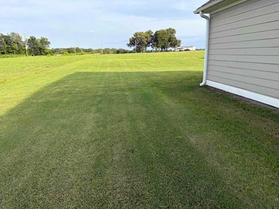 Lawn care service in Athens, 35614