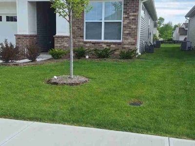Lawn care service in Indianapolis, 46268