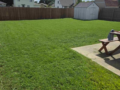 Lawn care service in College Station, 77845