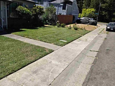 Lawn care service in Sacramento, 95822