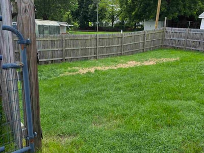 Lawn care service in Johnson City, 37601
