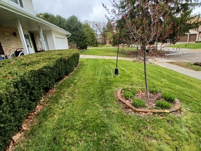 Lawn care service in , 
