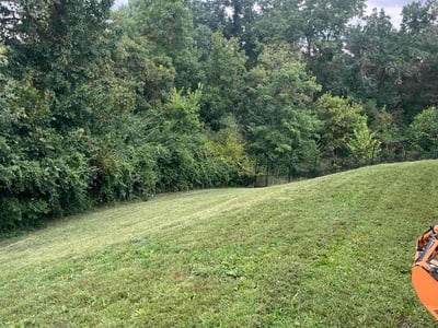 Lawn care service in St. Louis, 63129