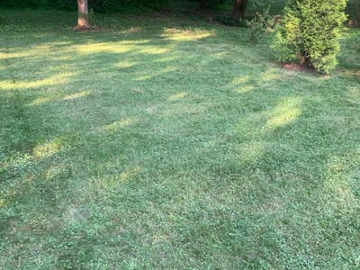 Lawn care service in Bridgewater, 02324