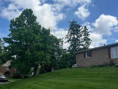 Lawn care service in Massillon, 44646