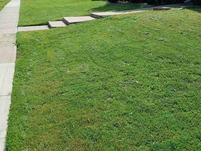 Lawn care service in Plano, 75025