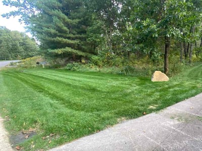 Lawn care service in Rockford, 49341