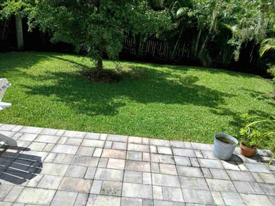 Lawn care service in Sarasota, 34231