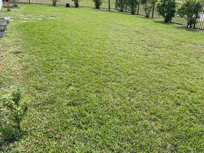 Lawn care service in Daytona Beach, 32124