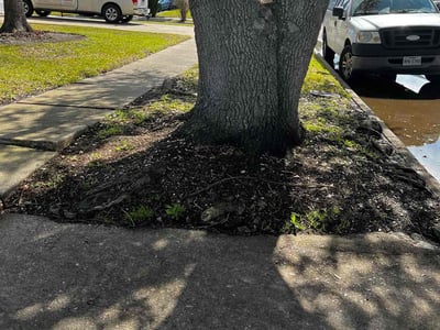 Lawn care service in Missouri City, 77489