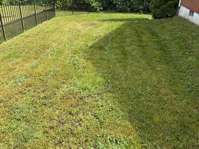 Lawn care service in Bremerton, 98312
