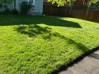 Lawn care service in Seattle, 98115